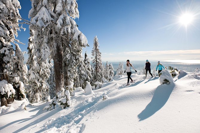 Small Group Tour: Capilano Suspension Bridge and Grouse Mountain from Vancouver - Capilano Suspension Bridge Park among the cedars