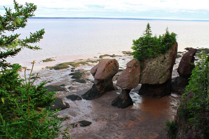 Small Group Tour - Peggy's Cove, Lunenburg, the Annapolis Valley - Peggy’s Cove and its famous lighthouse