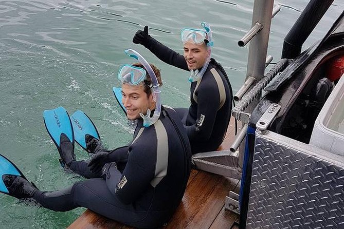 Snorkel, Kayak, and Seal Adventure: Vancouver Boat Tour - Meeting the harbor seals at Pam Rocks