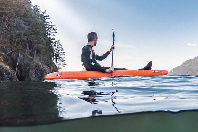 Snorkel, Kayak, and Seal Adventure: Vancouver Boat Tour - The second water session and flexible choices