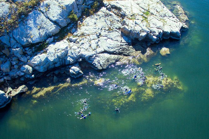 Snorkel, Kayak, and Seal Adventure: Vancouver Boat Tour - Cruising north through Howe Sound
