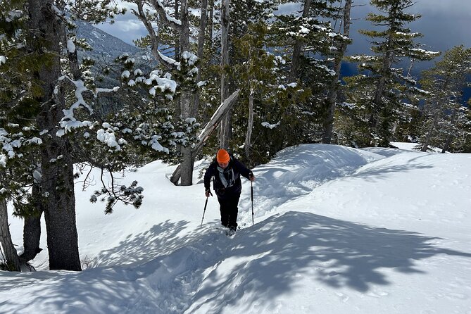 Snowshoeing At The Top Of The Sea To Sky Gondola - From Vancouver to Squamish by Howe Sound