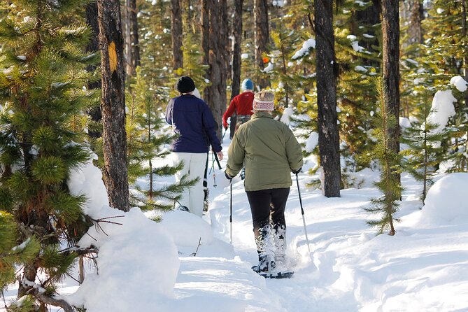 Snowshoeing At The Top Of The Sea To Sky Gondola - Crossing Sky Pilot Suspension Bridge
