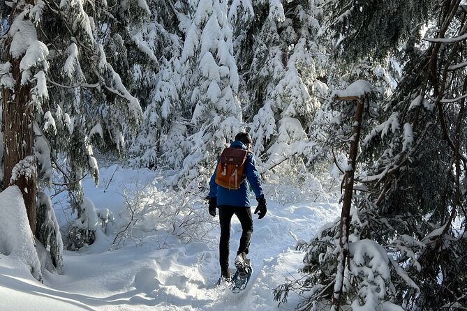Snowshoeing At The Top Of The Sea To Sky Gondola - Is $135 a fair price?