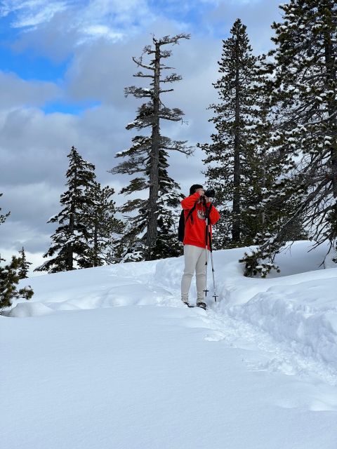 Snowshoeing At The Top Of The Sea To Sky Gondola - Who will enjoy this outing most?
