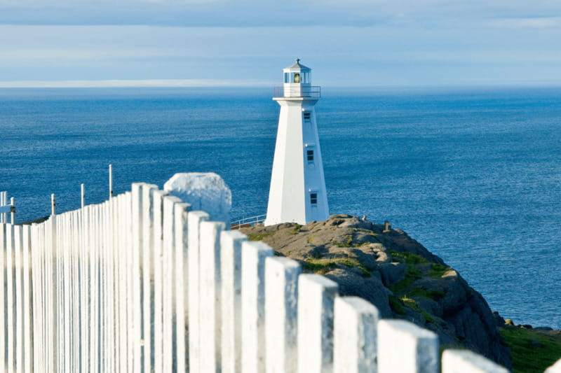 St John's Premium Driving Tour with Signal Hill & Cape Spear - Pickup details for downtown hotels and cruise passengers