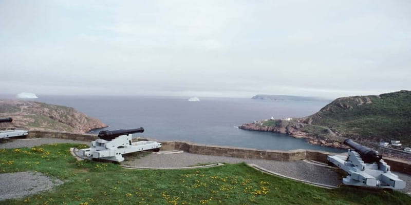 St Johns Premium Tour with Iceberg Quest Boat Cruise - Timing, transfers, and the six-hour question
