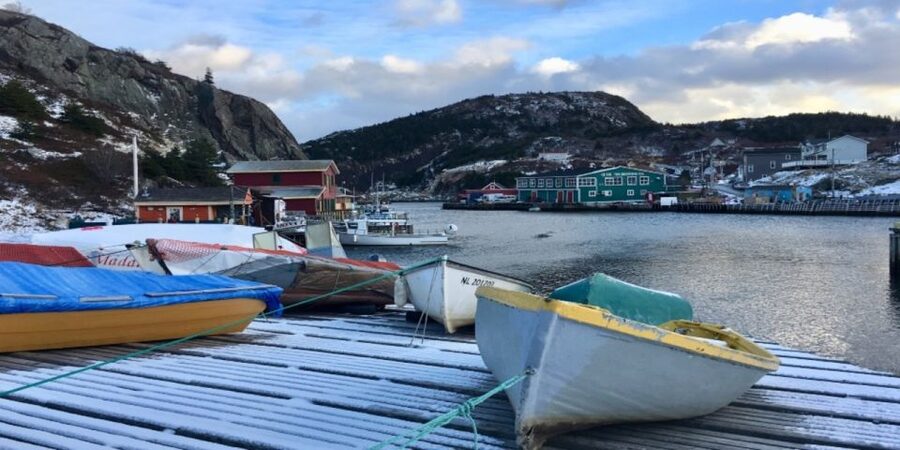St Johns Premium Tour with Iceberg Quest Boat Cruise - Who should book this St. John’s tour?