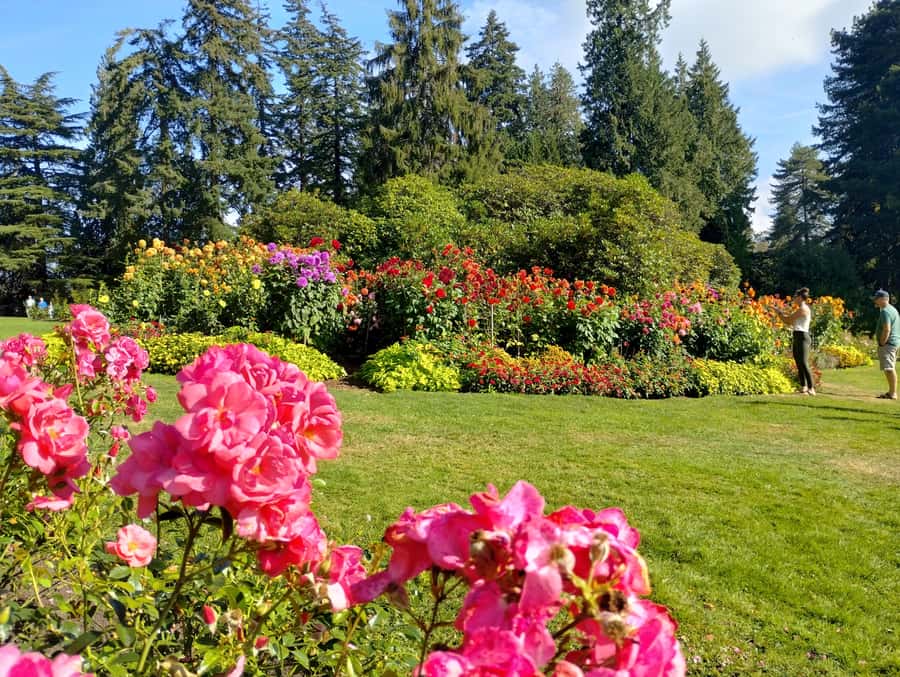 Stanley Park CarTour:SmallGroup/Comfort&CheaperThan BikeTour - The Nine O’Clock Gun and Port of Vancouver views