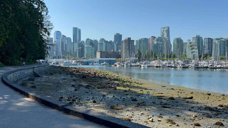 Stanley Park EUC & E-scooters loop tour - What the small group changes