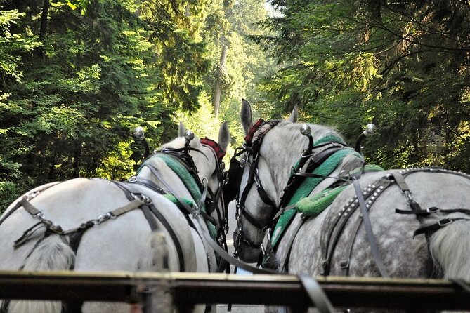 Stanley Park Horse Drawn Tour in Vancouver - Rolling along Park Drive beside the Seawall