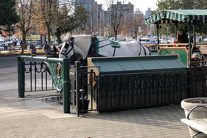 Stanley Park Horse Drawn Tour in Vancouver - North Vancouver and the Lions Gate Bridge