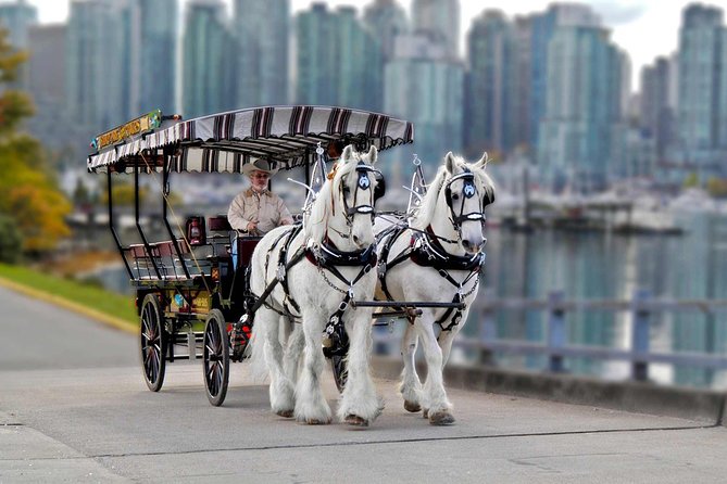 Stanley Park Horse Drawn Tour in Vancouver - The totem poles and the five-minute photo stop