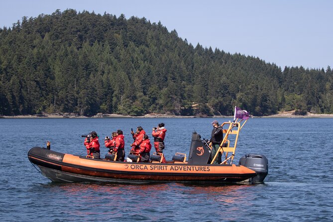 Summer Whale Watching Tour in a Zodiac Boat in Victoria - Searching for orcas and humpback whales