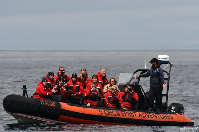 Summer Whale Watching Tour in a Zodiac Boat in Victoria - The Zodiac trade-off: excitement versus comfort