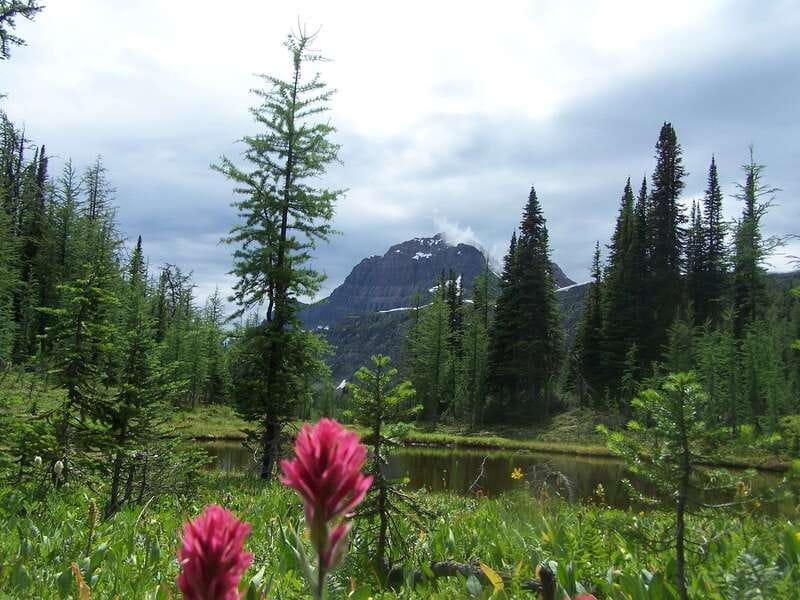 Sunshine Meadows Daily Guided Hike with Gondola - Why Sunshine Meadows makes such a strong hiking day