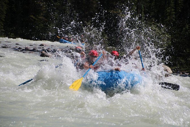 Sunwapta River Self-Drive Rafting Trip - Guide quality is central to the trip