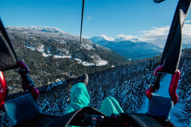 Superfly Ziplines on Cougar Mountain - includes 4 ziplines! - Starting at Sixteen Mile Creek