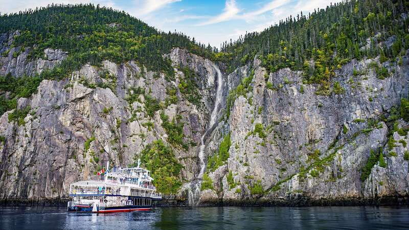Tadoussac/Charlevoix: 3-Hour Whale Watching Boat Tour - Who will enjoy this cruise most?