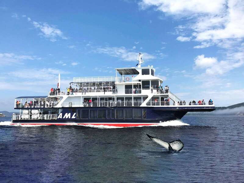 Tadoussac/Charlevoix: Whale Watching Tour & Bear Observation - The wildlife sanctuary: useful extra or filler?