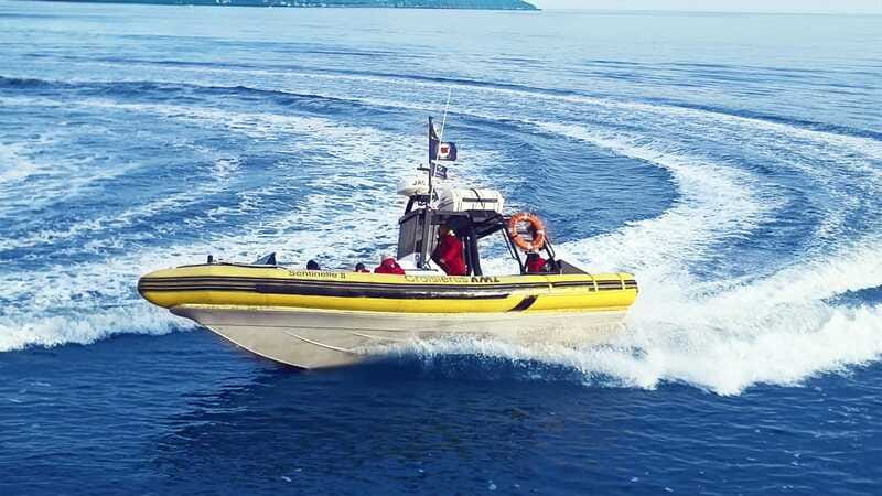 Tadoussac/Charlevoix: Whale Watching Zodiac Tour - Price, timing, and overall value