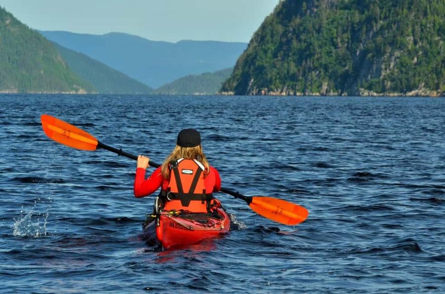 Tadoussac: Guided Sea Kayaking Adventure - How the two to three hours unfold