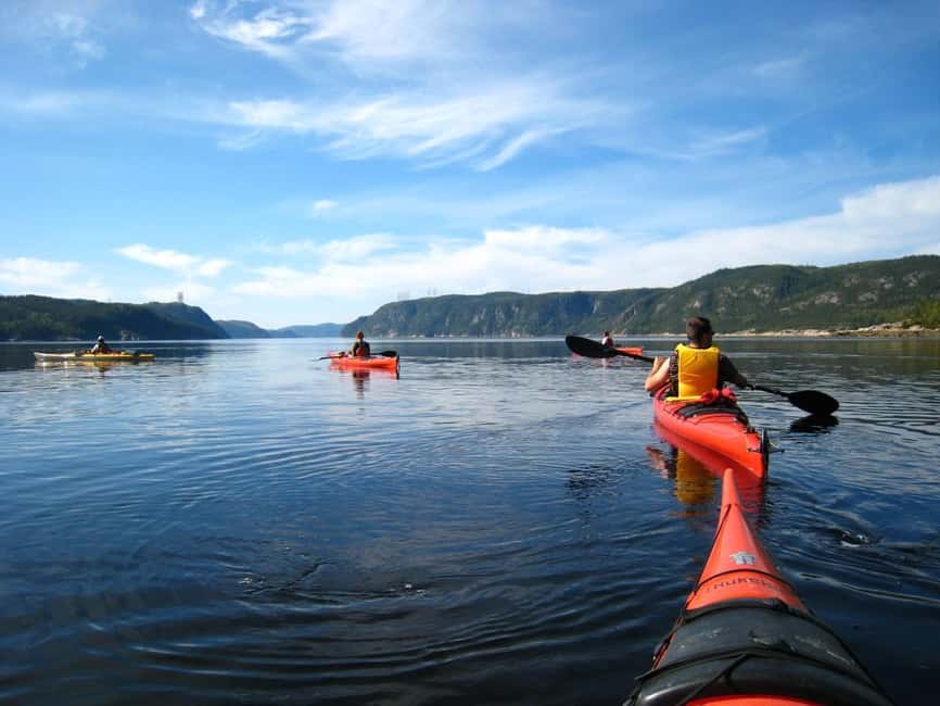Tadoussac: Guided Sea Kayaking Adventure - Who will enjoy this paddle most