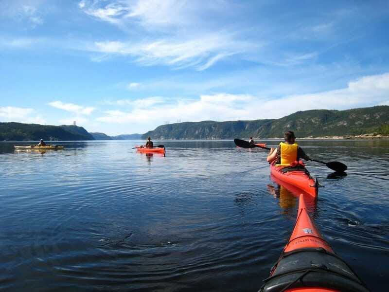 Tadoussac: Guided Sea Kayaking Adventure - Safety, comfort, and realistic expectations