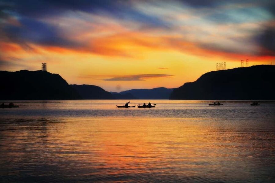 Tadoussac: Guided Sea Kayaking Adventure - Wildlife to watch for along the route