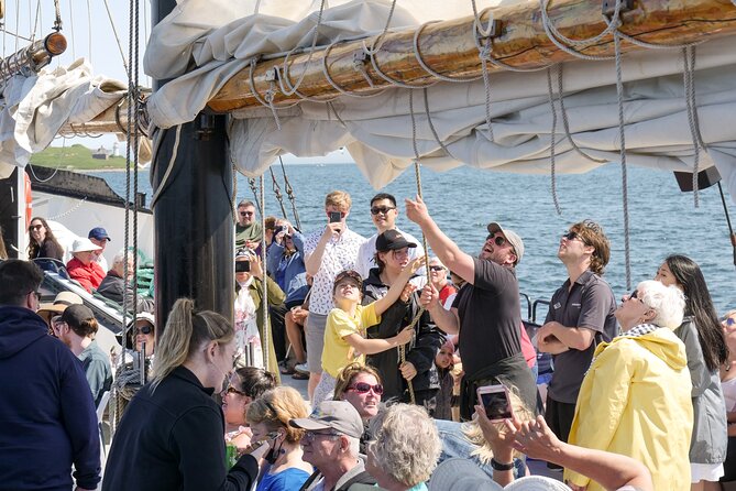 Tall Ship Silva Sailing Cruise Ft. a Live Musician - Under the bridge and across the harbor
