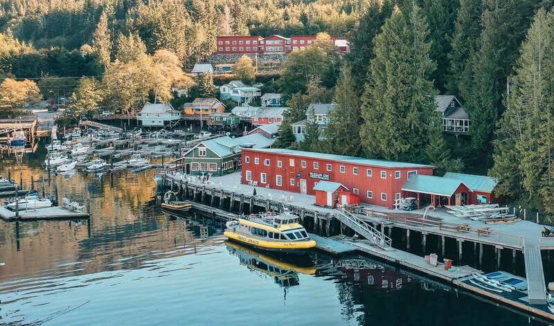 Telegraph Cove: 3-Hour Whale Watching Tour in a Zodiac Boat - Searching for Orcas and Humpback Whales
