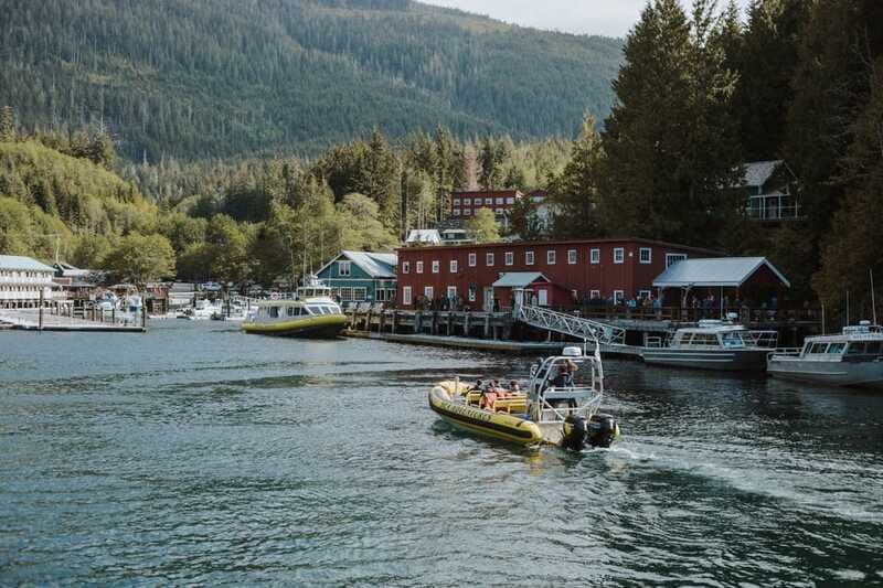 Telegraph Cove: 3-Hour Whale Watching Tour in a Zodiac Boat - Weather, Cancellations, and the Whale Guarantee