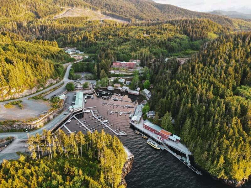 Telegraph Cove: Half-Day Kayaking Tour - Who should book this Telegraph Cove kayak tour?