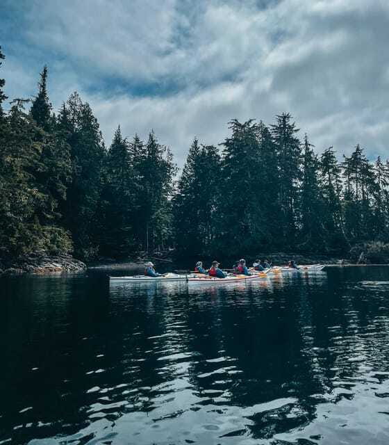 Telegraph Cove: Half-Day Kayaking Tour - Wildlife watching without a guarantee