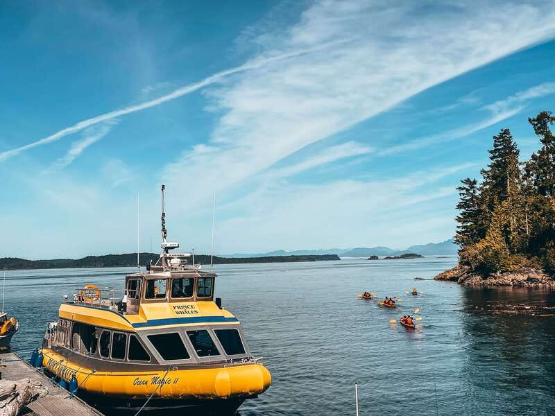 Telegraph Cove: Whale Watching Adventure with Free Photos - What the naturalists add