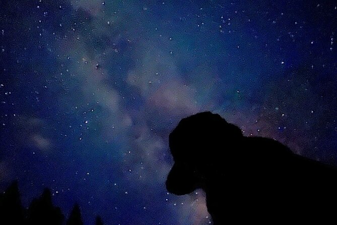 The Banff Stargazing Tour - 2hr Walking Tour - Photographing stars with your phone