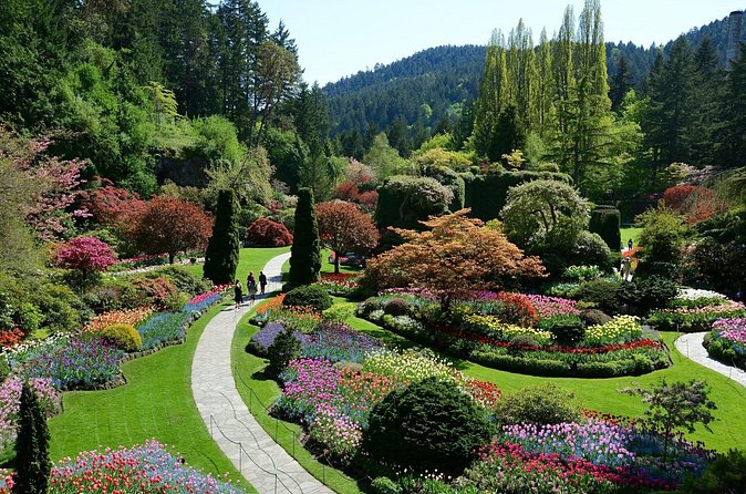 The Butchart Gardens Express Shuttle from Downtown Victoria - Entering the 55-acre Butchart Gardens