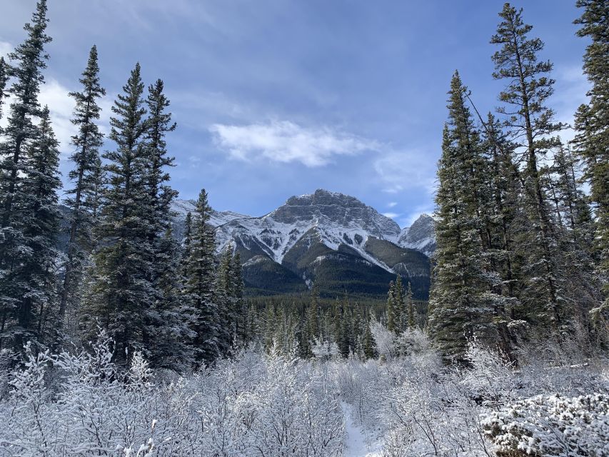 The Canmore HISTORY TOUR - Cowboys and Coal Miners 2H Walk - What the 90-minute length means for value