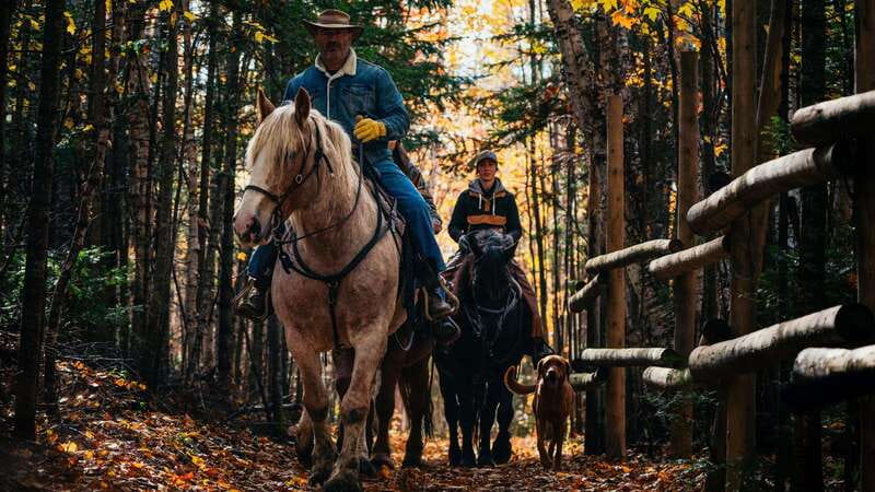 The Montagnarde: Guided horseback ride on mountain trails. - Following rustic mountain trails