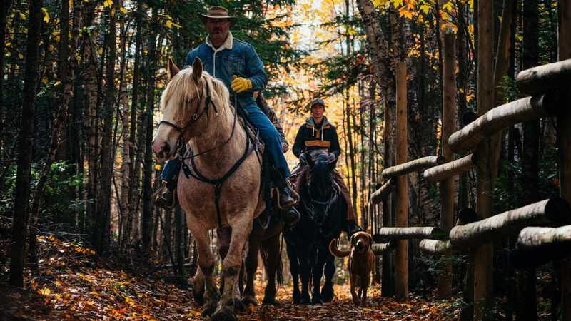 The Montagnarde: Guided horseback ride on mountain trails. - Choosing a morning or afternoon departure