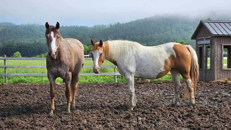 The Montagnarde: Guided horseback ride on mountain trails. - A practical packing list for the ranch