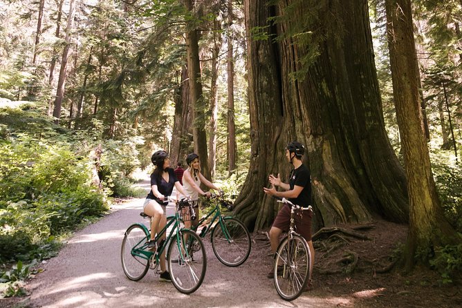The Stanley Park Bicycle Tour by Cycle City Tours - Beaver Lake and the Park’s Interior