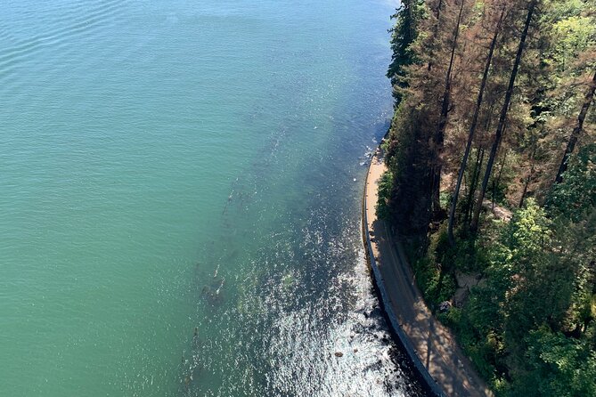 The Ultimate Stanley Park E-Bike Tour - Forest trails, Beaver Lake, and the gardens