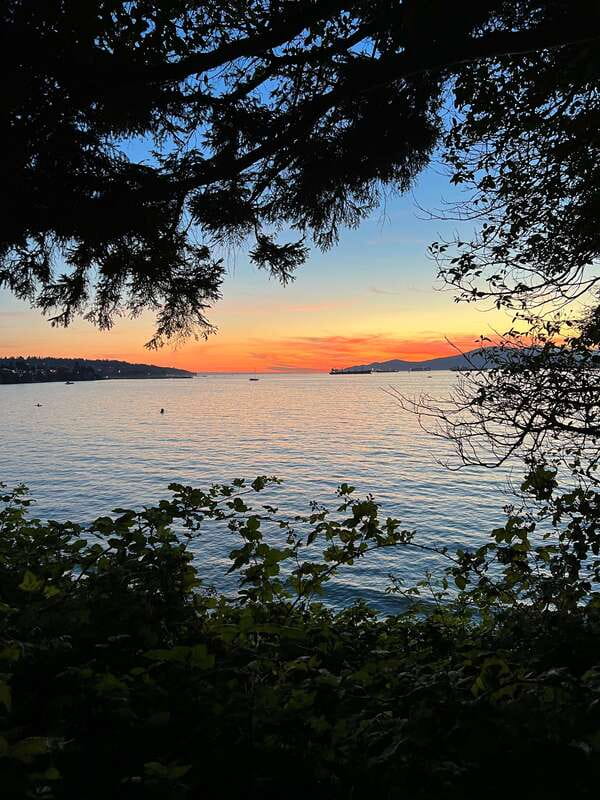 The Ultimate Stanley Park E-Bike Tour - What the guide adds to the ride