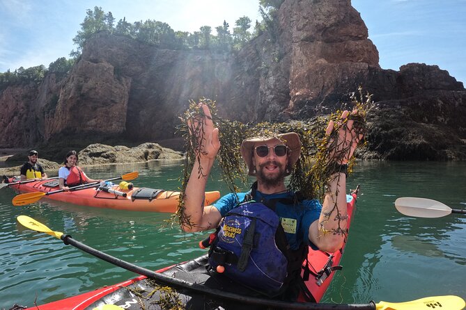 Three Sisters Sea Kayaking Day Tour - Who should book the Three Sisters Day Tour