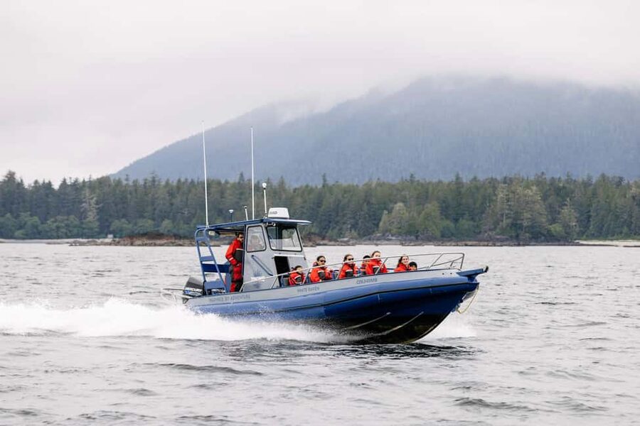 Tofino: Whale Watching Tour with Nature Guide - What makes this Tofino tour worth considering