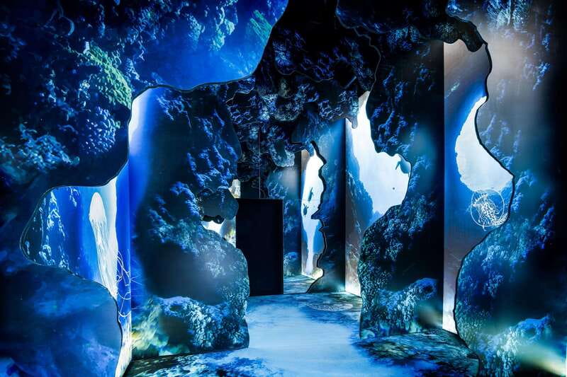 Toronto: Arcadia Earth, Immersive Experience Anytime Ticket - Key points to know before you go