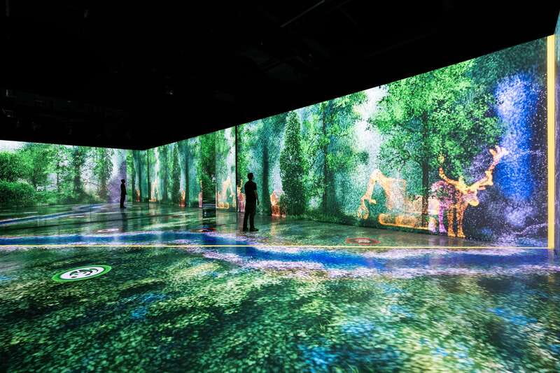 Toronto: Arcadia Earth, Immersive Experience Anytime Ticket - What Arcadia Earth is trying to do