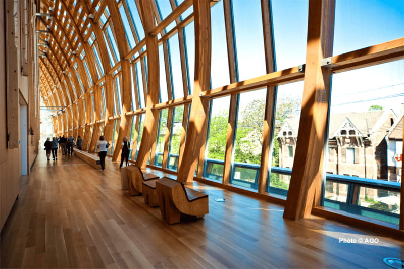 Toronto: Art Gallery of Ontario General Admission Ticket - Contemporary art and changing exhibitions