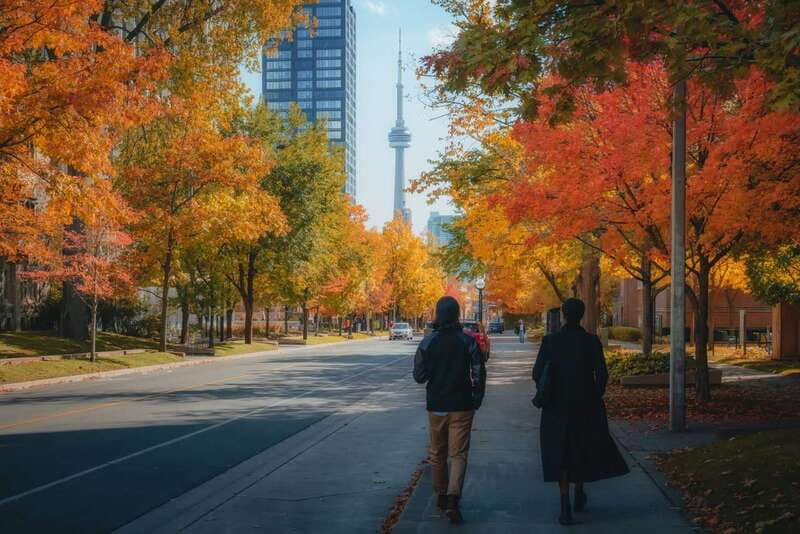 Toronto: City Highlights Walking Tour | 3-Hour - Price, tipping, and what you really pay